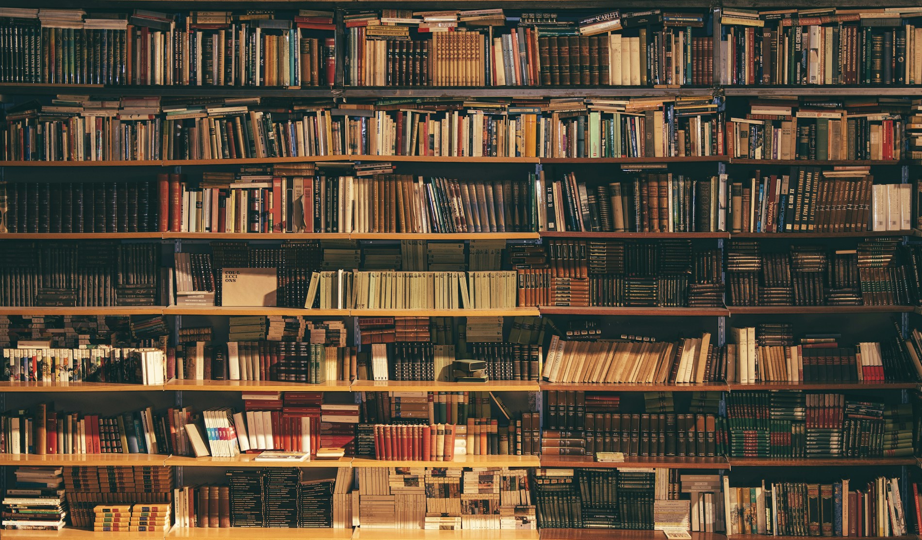 Shelves full of books